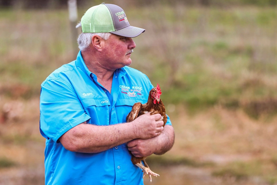 Cedar Ridge Egg Farm (Pickton,TX)